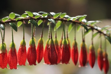 深圳大鹏区9私人快速借钱网，轻松解决资金难题