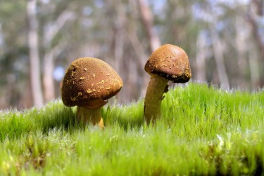 深圳大鹏区9私人老板放款：轻松融资的秘密通道